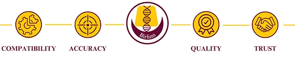 Birlinn Icons